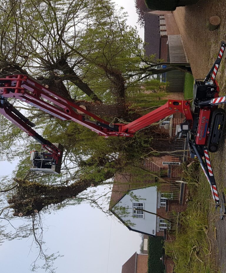 Tree Work - 17m Hinowa Lightlift Spider Tracked Access Platform