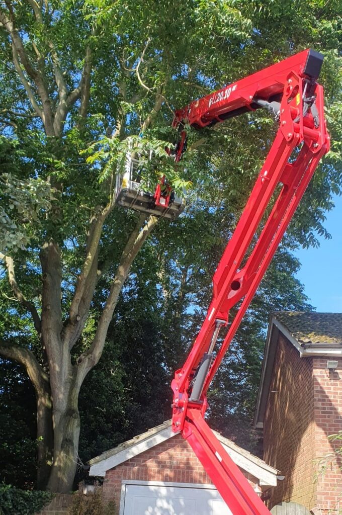 20.10 tracked machine hard at work on it's first hire.