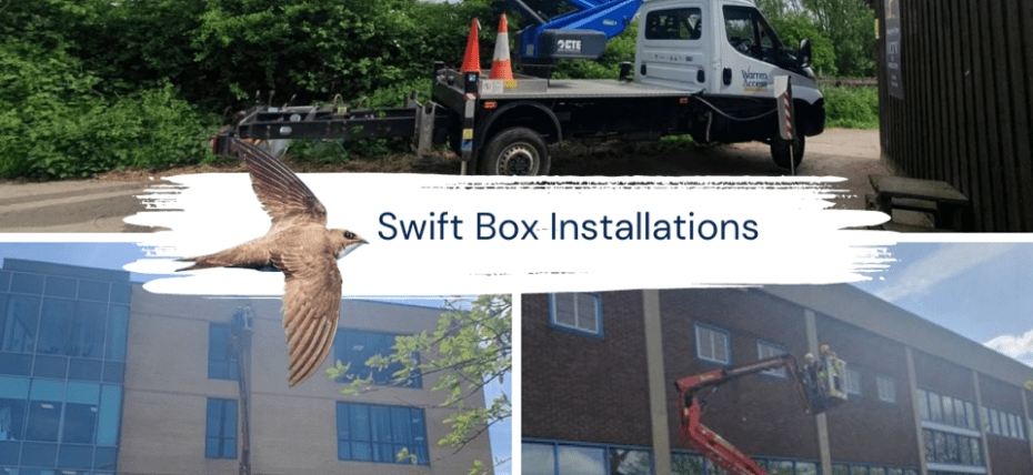 North Tyneside Swift Nesting Box Hire